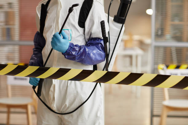 Professional Infectious Disease Decontamination technician working in Comfort, TX